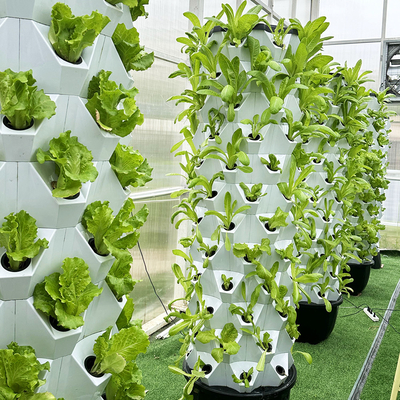 Personalize o número de camadas Agricultura vertical com sistema hidropônico de gotejamento de água
