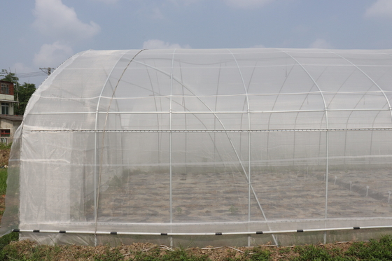 Período de Polytunnel Sri Lanka Colombo Steel Frame Greenhouse Single
