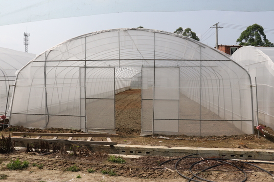 Período de Polytunnel Sri Lanka Colombo Steel Frame Greenhouse Single