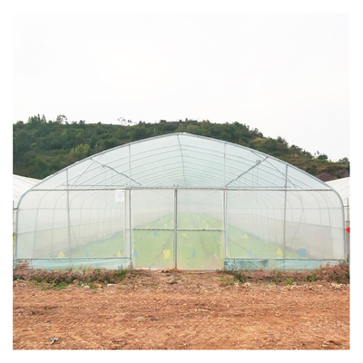 Estufa estável do filme de polietileno da estrutura/estufa vegetal da planta de tomate