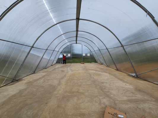 Estufas de secagem eficiente em termos energéticos com ventilação para secagem controlada de vegetais e ervas
