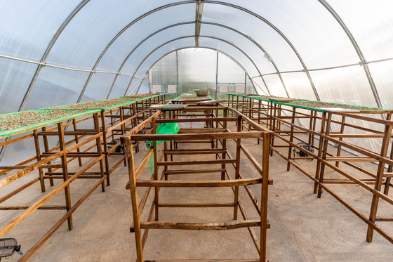 Estufas de secagem eficiente em termos energéticos com ventilação para secagem controlada de vegetais e ervas