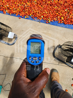 Estufas de secagem eficiente em termos energéticos com ventilação para secagem controlada de vegetais e ervas