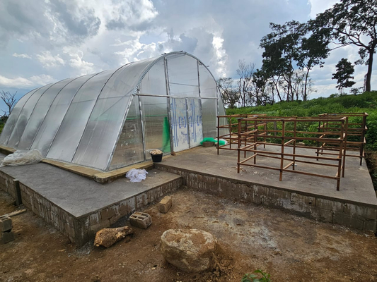Ventilação avançada e secagem por PC em estufas para conservação de vegetais e ervas