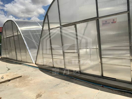 Ventilação avançada e secagem por PC em estufas para conservação de vegetais e ervas