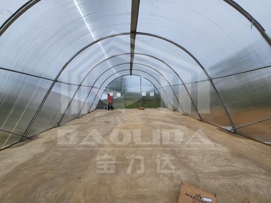 Estufas inteligentes de secagem personalizáveis para vegetais e frutas em ambiente controlado