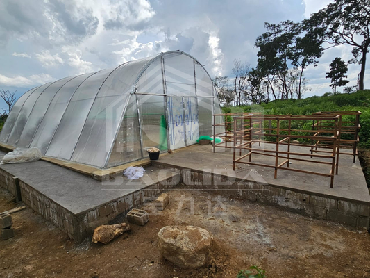 Estufas inteligentes de secagem personalizáveis para vegetais e frutas em ambiente controlado