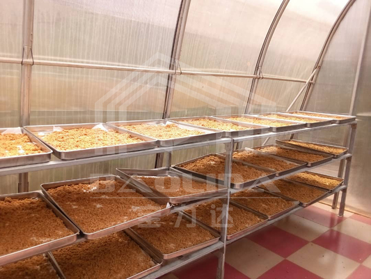 Ventilação avançada e secagem por PC em estufas para conservação de vegetais e ervas