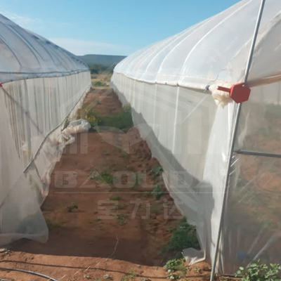 Estufas galvanizadas para produção eficiente de vegetais