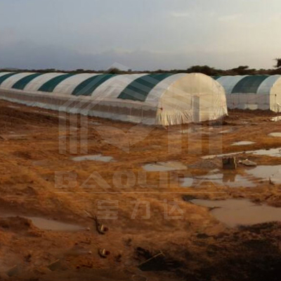 Estufas galvanizadas para produção eficiente de vegetais