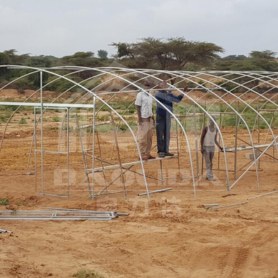 Estufas galvanizadas para produção eficiente de vegetais