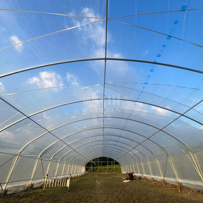 Estufa de túnel multiuso de 6x15m com transmissão de luz superior