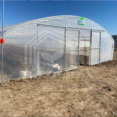 Estufas de plástico galvanizadas com estruturas de aço Pe Film Estufas de plástico galvanizado