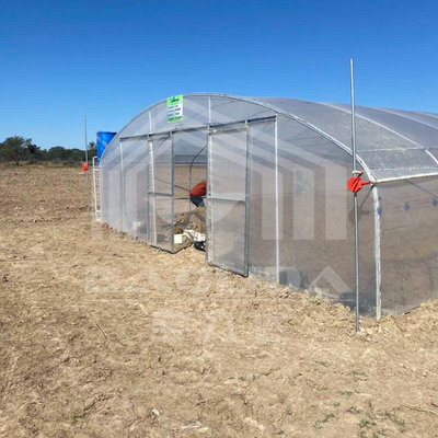 Estufa de túnel econômico com ventilação lateral para o crescimento das plantas