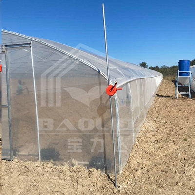 Estufa de túnel econômico com ventilação lateral para o crescimento das plantas