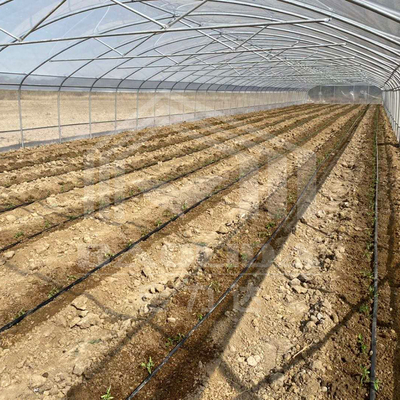 Estufa de túnel econômico com ventilação lateral para o crescimento das plantas