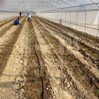 Estufa de túnel econômico com ventilação lateral para o crescimento das plantas