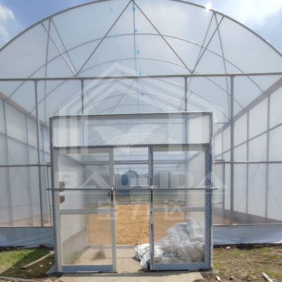 Estufa de túnel alto com estrutura de aço durável para agricultura