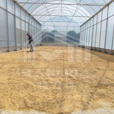 Estufa de túnel alto com estrutura de aço durável para agricultura