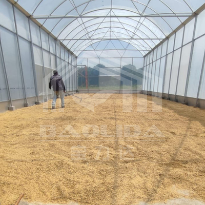 Estufa de túnel alto com estrutura de aço durável para agricultura