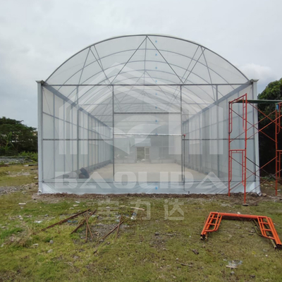 Estufa de túnel alto com estrutura de aço durável para agricultura