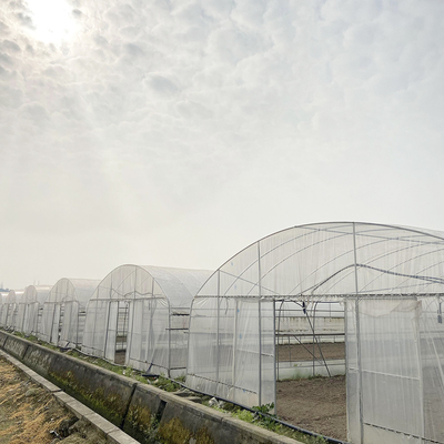 Estufas em túnel de 6x15m para projetos de cultivo de flores e vegetais