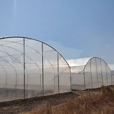 Estufas em túnel de 6x15m para projetos de cultivo de flores e vegetais