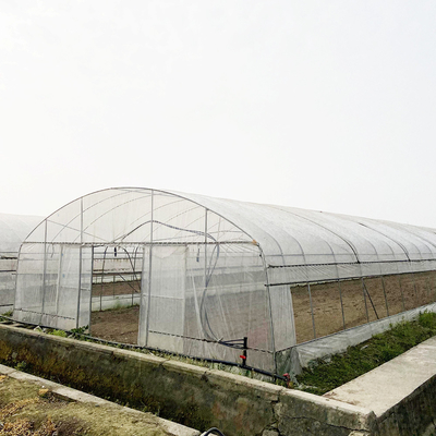 Estufas em túnel de 6x15m para projetos de cultivo de flores e vegetais
