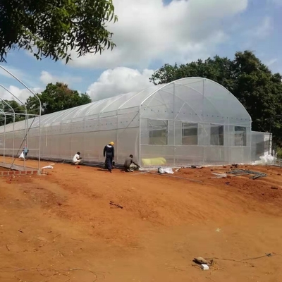 Estufas práticas de túnel alto para soluções agrícolas