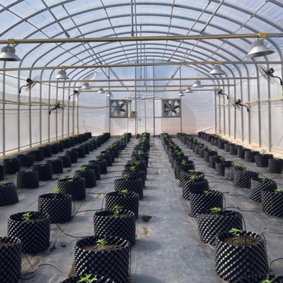 Estufas práticas de túnel alto para soluções agrícolas