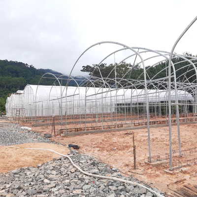 Estufas práticas de túnel alto para soluções agrícolas