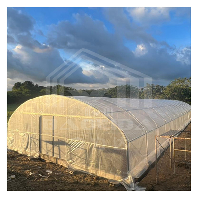 Estufas de aço resistentes à ferrugem para a agricultura durante todo o ano