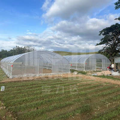 Estufas de aço resistentes à ferrugem para a agricultura durante todo o ano