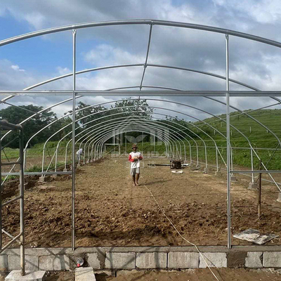 Estufas de aço resistentes à ferrugem para a agricultura durante todo o ano