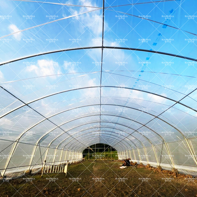 Estufas de túnel econômicas com cobertura de PE para vegetais e flores