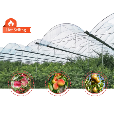 Estufas profissionais de túneis de cogumelos de frutas com filme e material de cobertura de rede de sombra