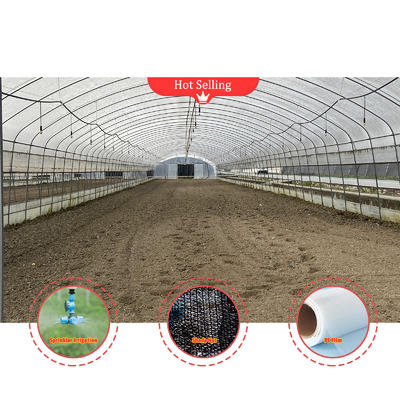 BAOLIDA Económico Agrícola Sombra Negra Rede Túnel Filme Estufas Para cogumelos