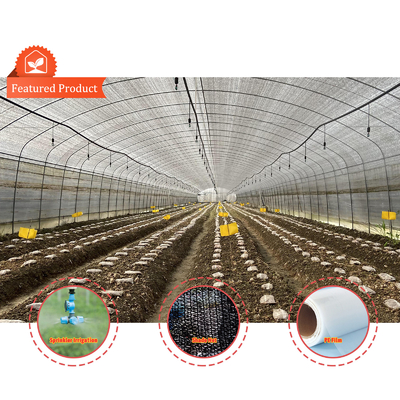 BAOLIDA Económico Agrícola Sombra Negra Rede Túnel Filme Estufas Para cogumelos