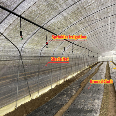 Ventilação manual ou elétrica de rolagem adaptável Estufas agrícolas para cultivo de cogumelos