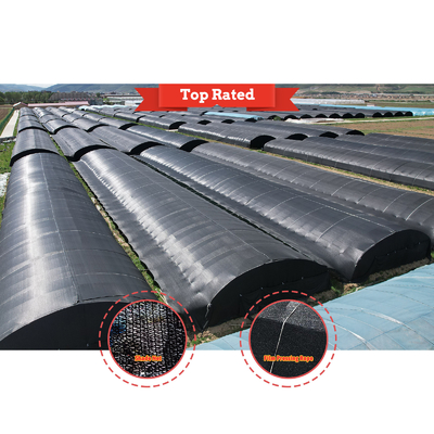 Ventilação manual ou elétrica de rolagem para cima Polietileno agrícola revestido com filme de cogumelo Casa de verde com estrutura de aço galvanizado a quente
