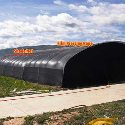 Ventilação manual ou elétrica de rolagem para cima Polietileno agrícola revestido com filme de cogumelo Casa de verde com estrutura de aço galvanizado a quente