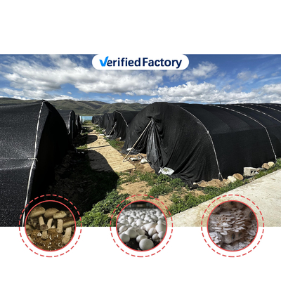 Agropecuária Fungos Estufas Obras públicas Estufas simples Estufas para a agricultura