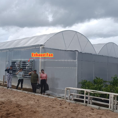 Casa de cultivo de flores e vegetais Quonset Hut Conservatório Casa de cultivo Garrafas de água grandes estufas com ventilação no telhado