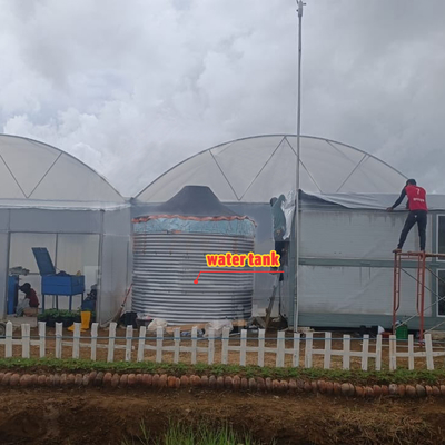 Casa de cultivo de flores e vegetais Quonset Hut Conservatório Casa de cultivo Garrafas de água grandes estufas com ventilação no telhado