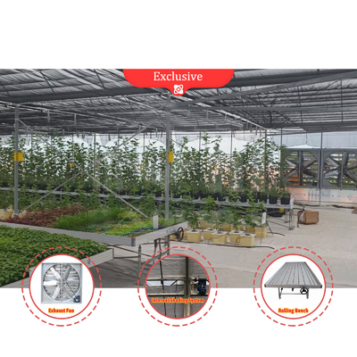 Casa de cultivo de flores e vegetais Quonset Hut Conservatório Casa de cultivo Garrafas de água grandes estufas com ventilação no telhado