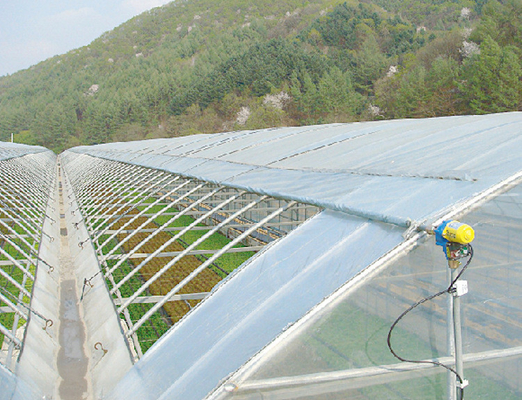 Flor de vários túneis Po Film Multi-span Estufas Com modernos equipamentos de controle automático
