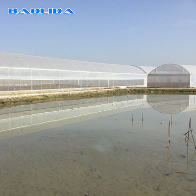 8-60m de comprimento túnel de alta película de plástico estufa tamanho personalizável para agricultura e produção de flores
