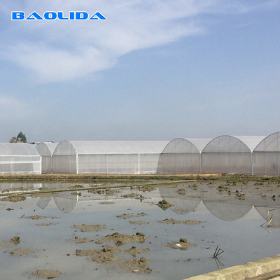 8-60m de comprimento túnel de alta película de plástico estufa tamanho personalizável para agricultura e produção de flores
