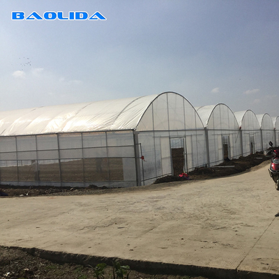 8-60m de comprimento túnel de alta película de plástico estufa tamanho personalizável para agricultura e produção de flores