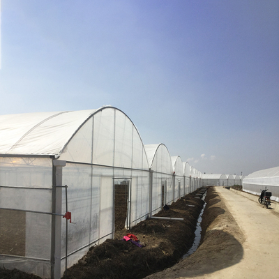 8-60m de comprimento túnel de alta película de plástico estufa tamanho personalizável para agricultura e produção de flores